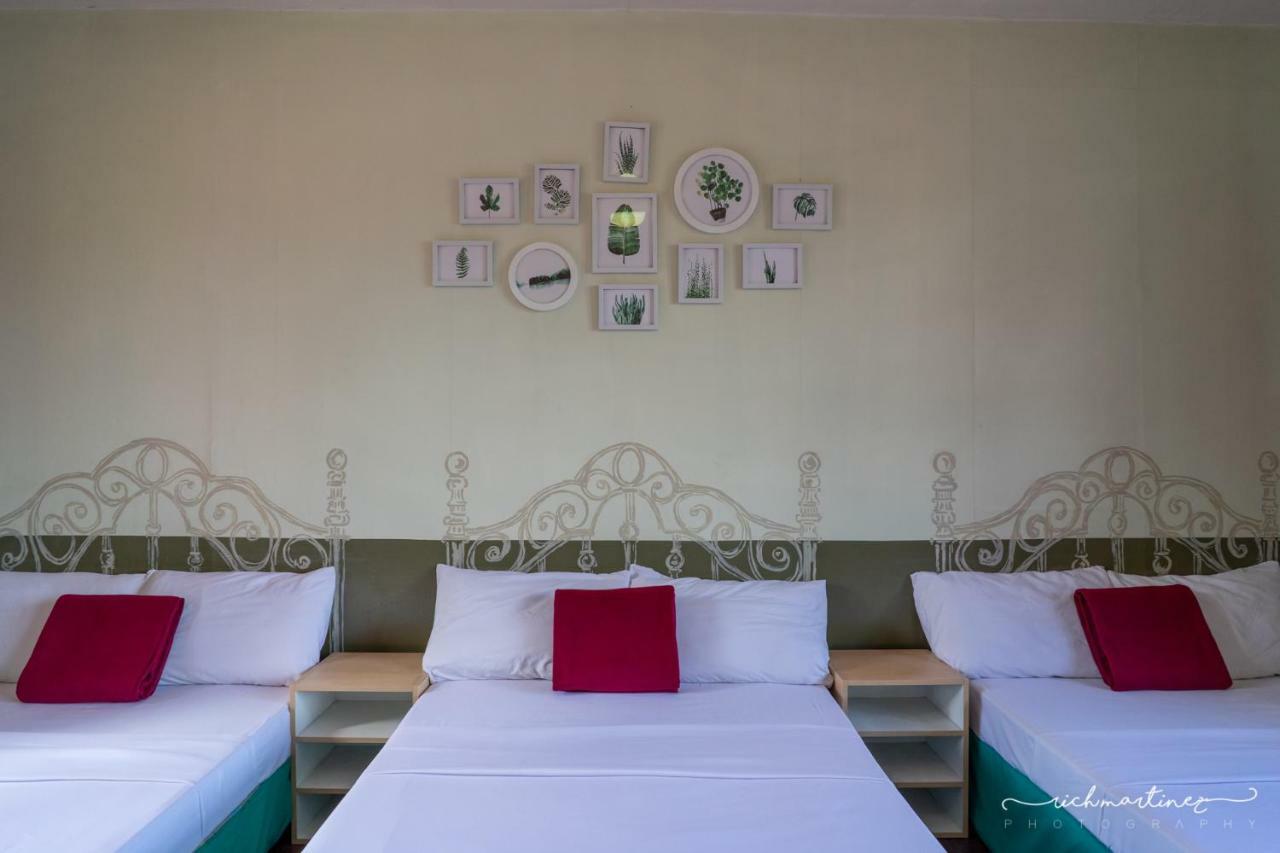 Old Orangewood Bed & Breakfast Baguio City Eksteriør bilde